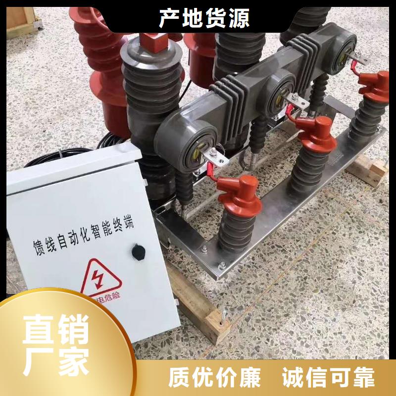 真空斷路器戶外單極隔離開(kāi)關(guān)廠家工藝先進(jìn)