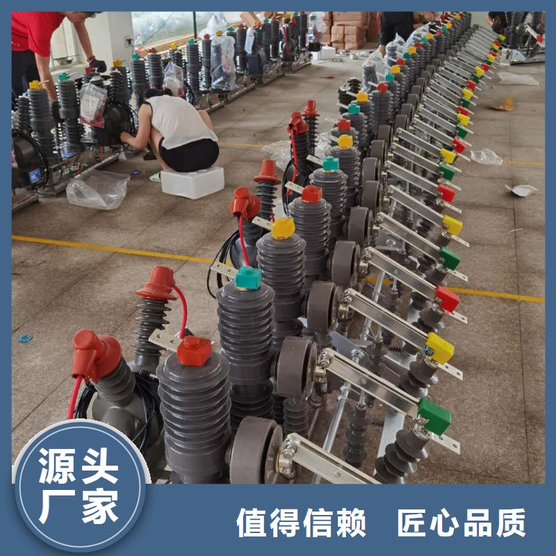 真空斷路器FKN12-12/630A經(jīng)驗(yàn)豐富品質(zhì)可靠