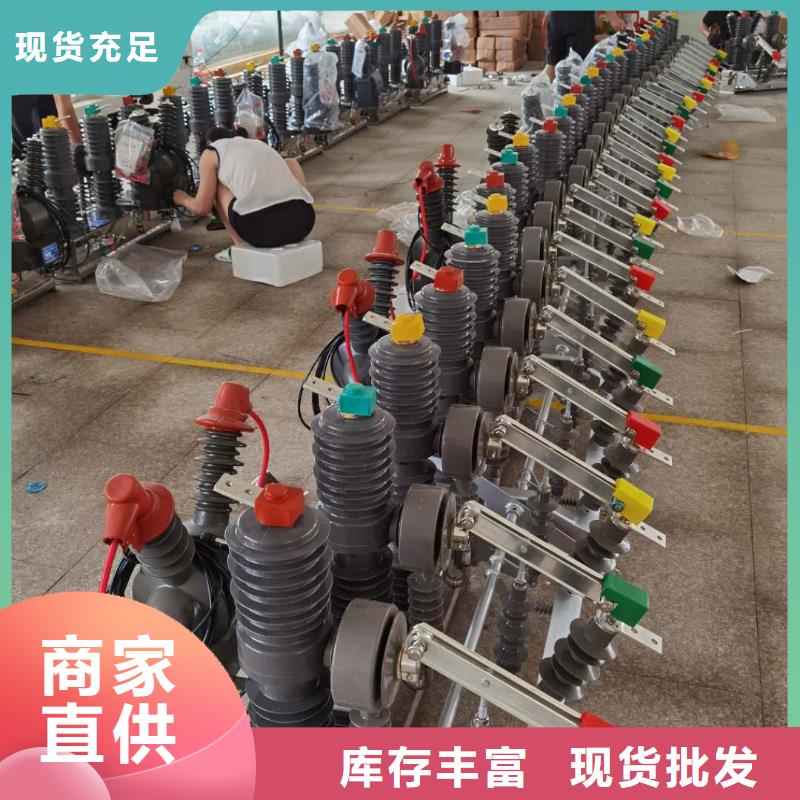 真空斷路器高壓限流熔斷器工廠直供