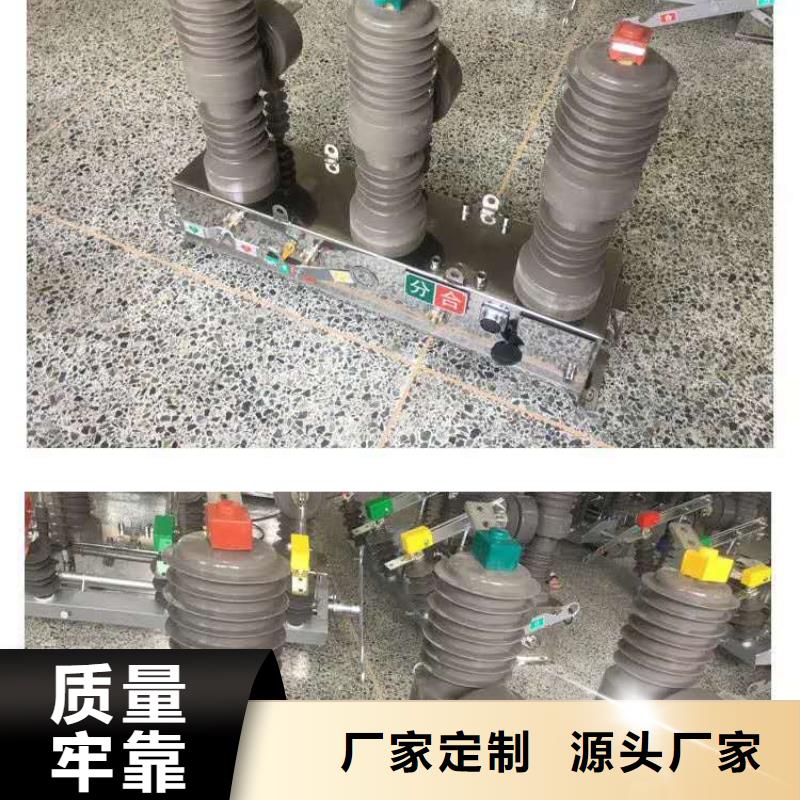 廠家ZW32-12G/T1250-31.5戶外高壓真空斷路器