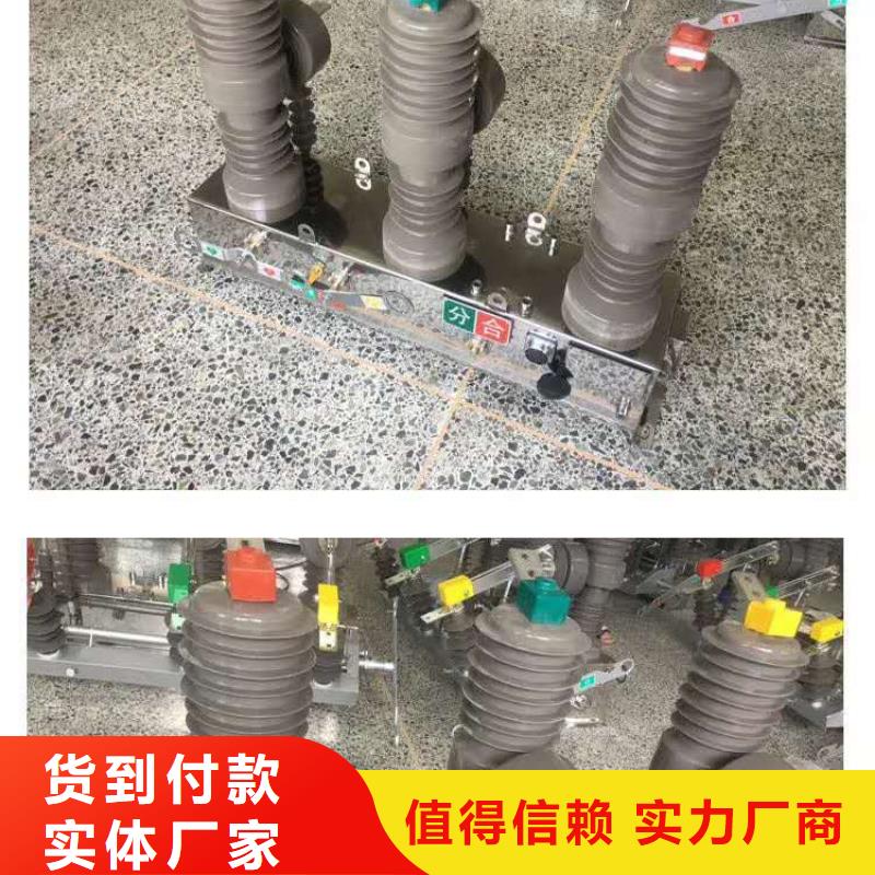 真空断路器户内高压真空断路器源头直供