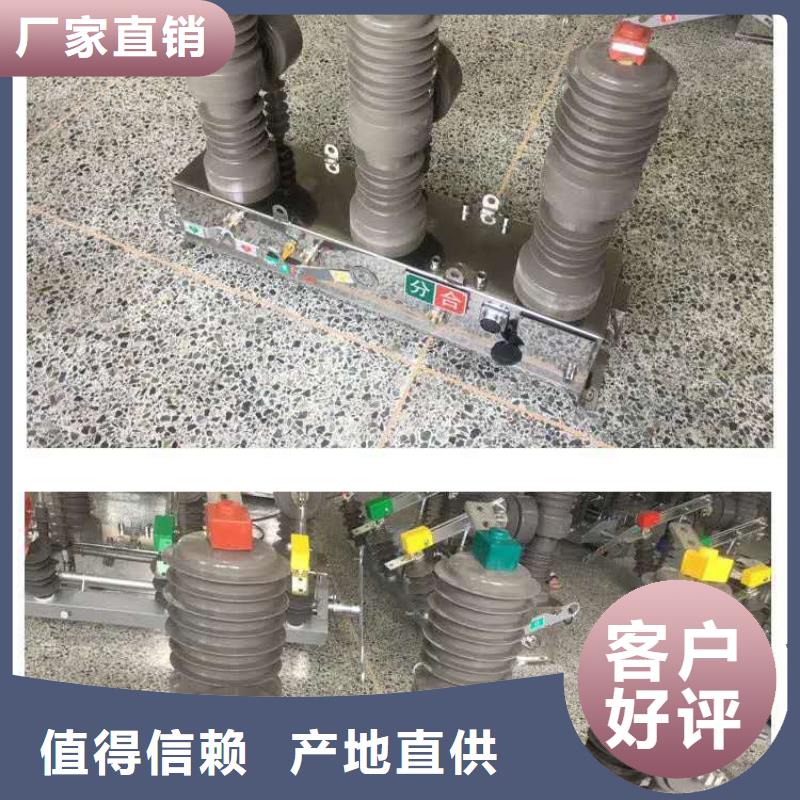 真空断路器高压限流熔断器厂家自营
