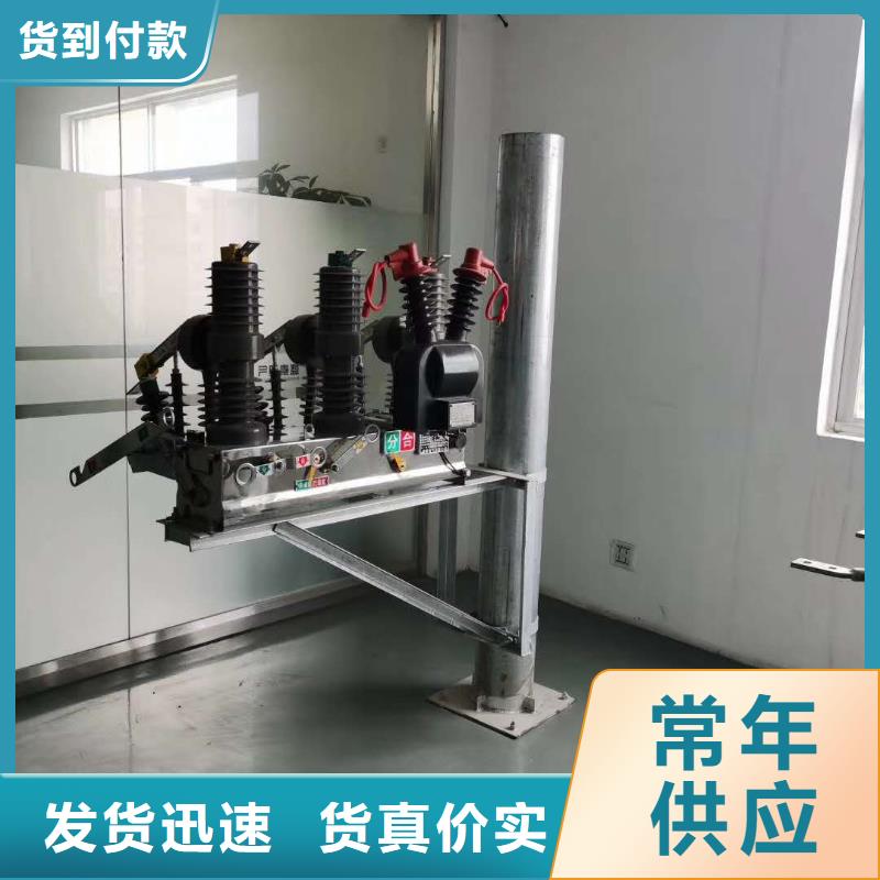 真空斷路器FKN12-12/630A經(jīng)驗(yàn)豐富品質(zhì)可靠