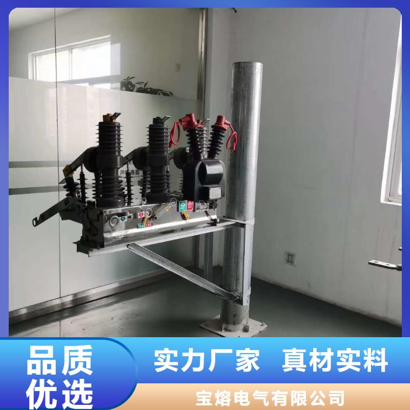 真空断路器_高压限流熔断器送货上门