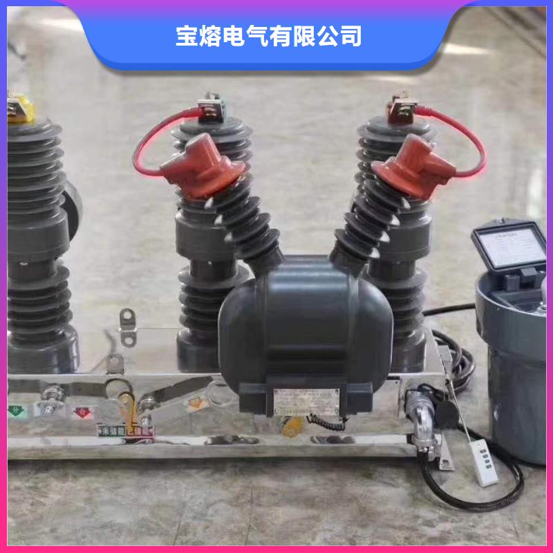 真空断路器高压限流熔断器厂家自营