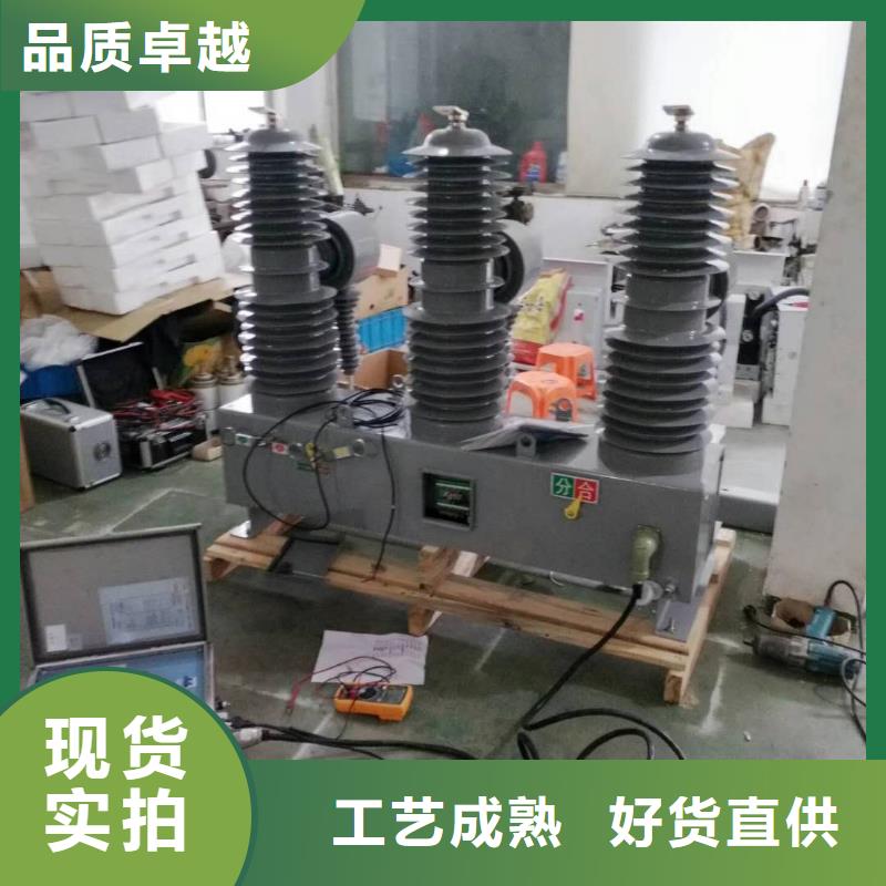 真空斷路器高壓氧化鋅避雷器品牌大廠家