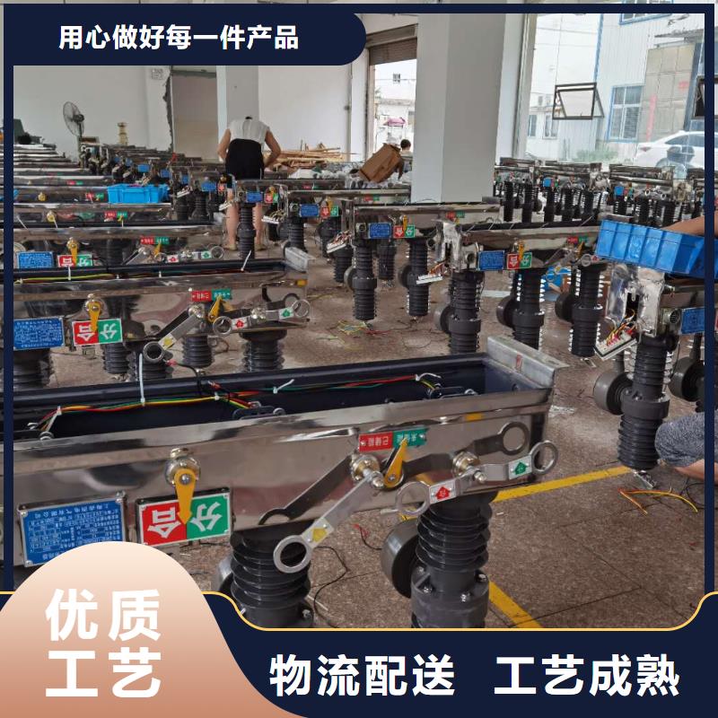 真空断路器高压限流熔断器厂家自营