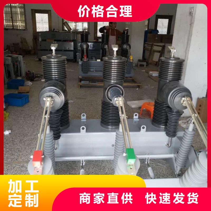 真空断路器高压限流熔断器厂家自营