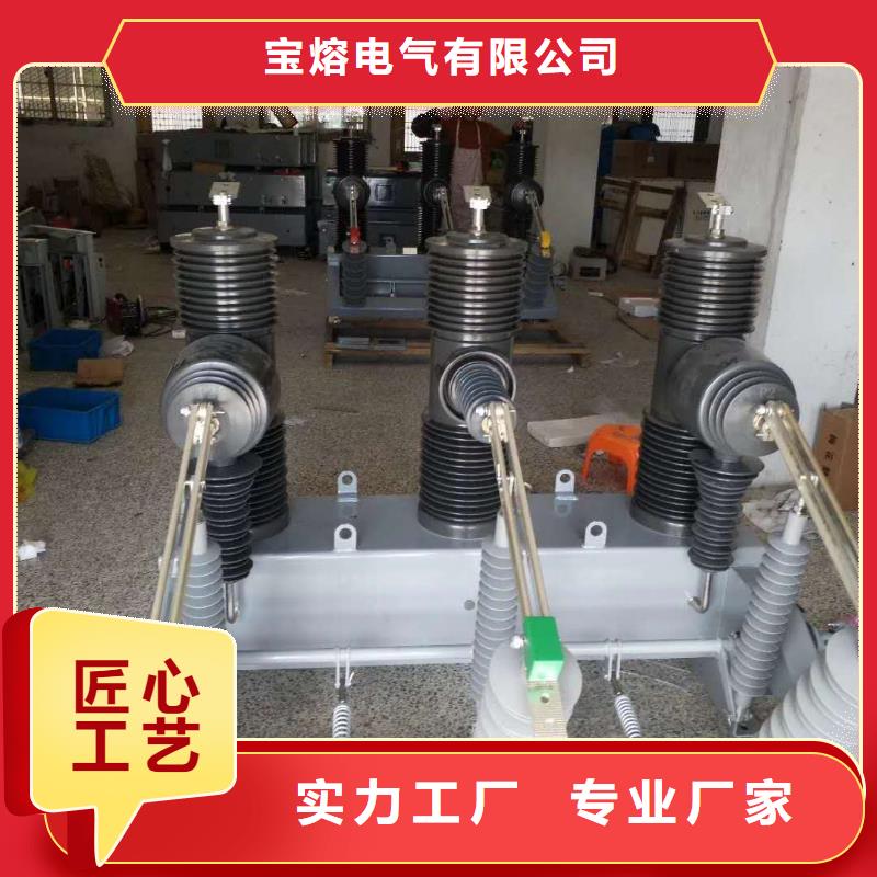 真空斷路器FKN12-12/630A經(jīng)驗(yàn)豐富品質(zhì)可靠