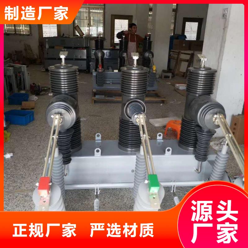 真空斷路器FKN12-12/630A經(jīng)驗(yàn)豐富品質(zhì)可靠