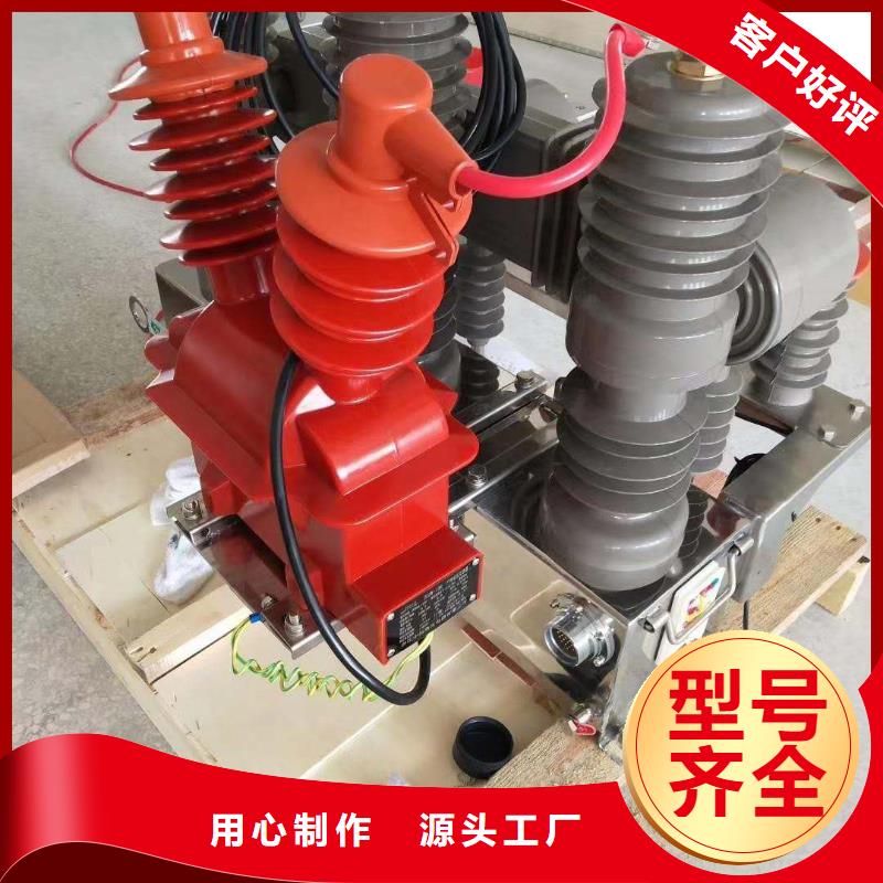 真空斷路器高壓氧化鋅避雷器品牌大廠家