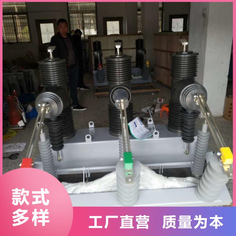 真空断路器高压接地开关商家