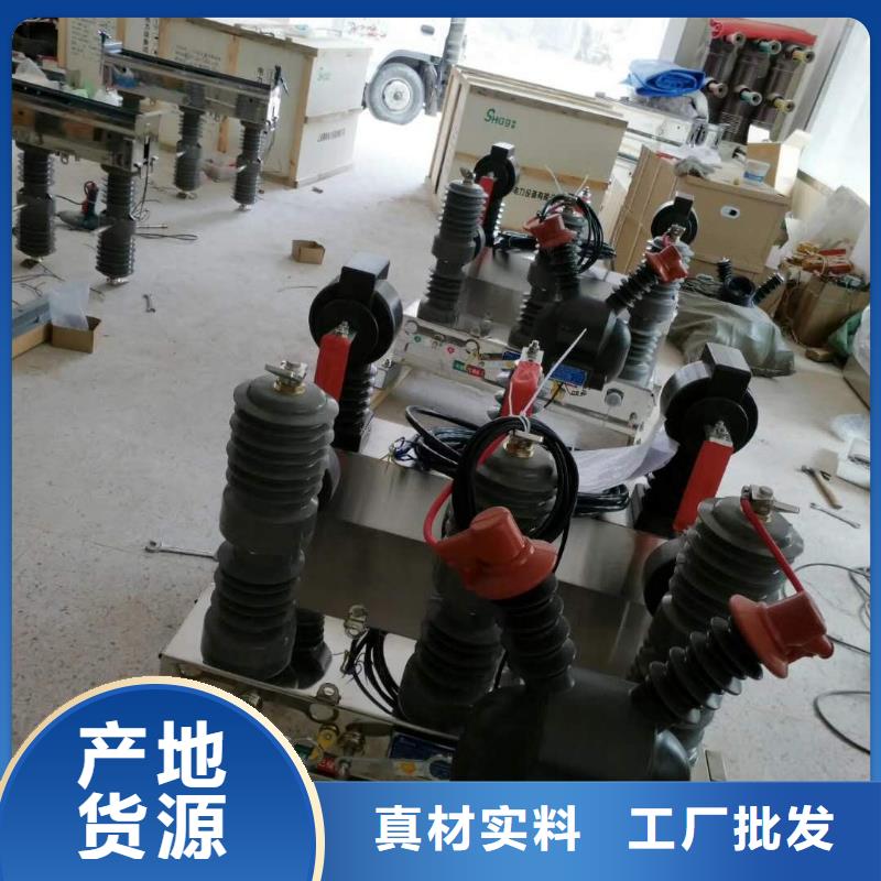 真空斷路器FKN12-12/630A經(jīng)驗(yàn)豐富品質(zhì)可靠