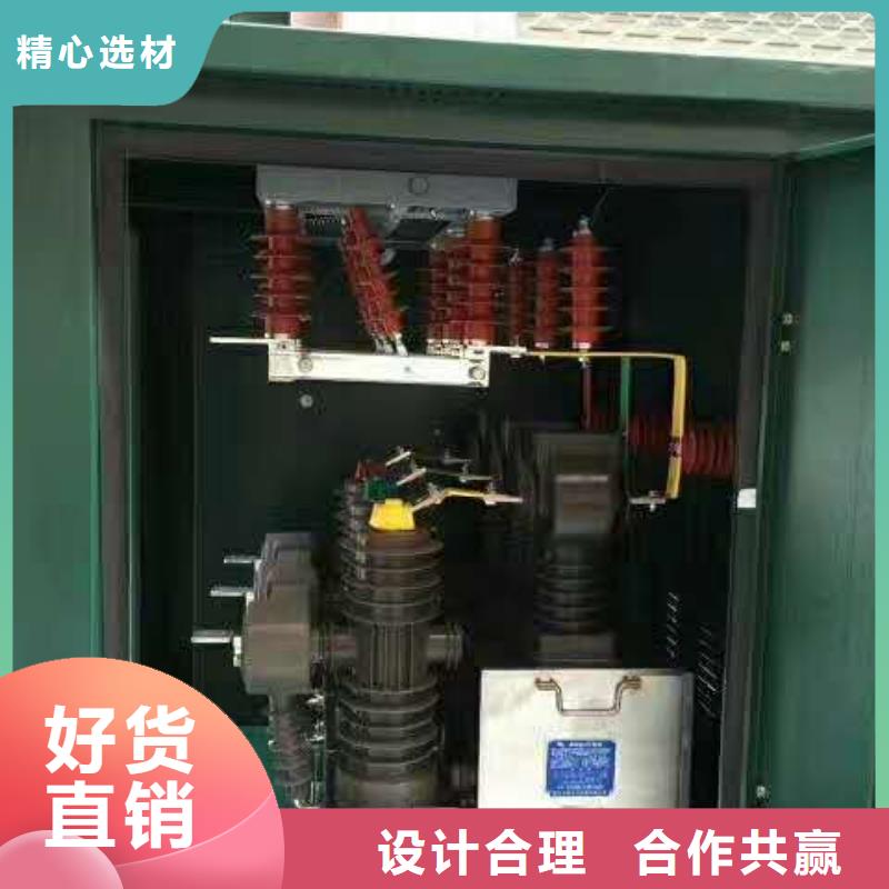 真空斷路器FKN12-12/630A經(jīng)驗(yàn)豐富品質(zhì)可靠