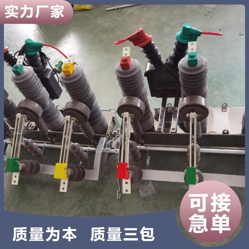 真空斷路器FKN12-12/630A經(jīng)驗(yàn)豐富品質(zhì)可靠