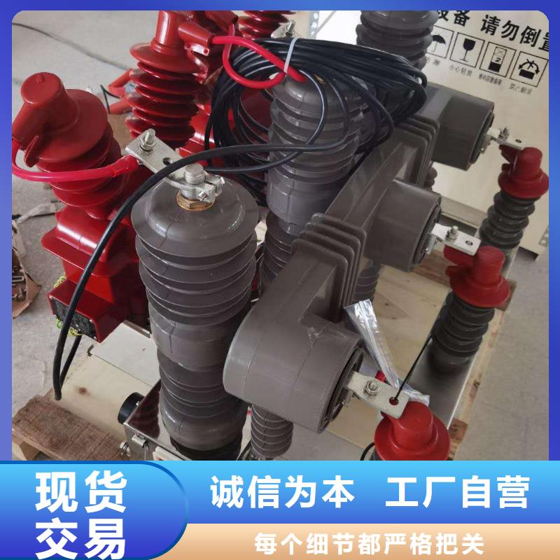 真空斷路器FKN12-12/630A經(jīng)驗(yàn)豐富品質(zhì)可靠