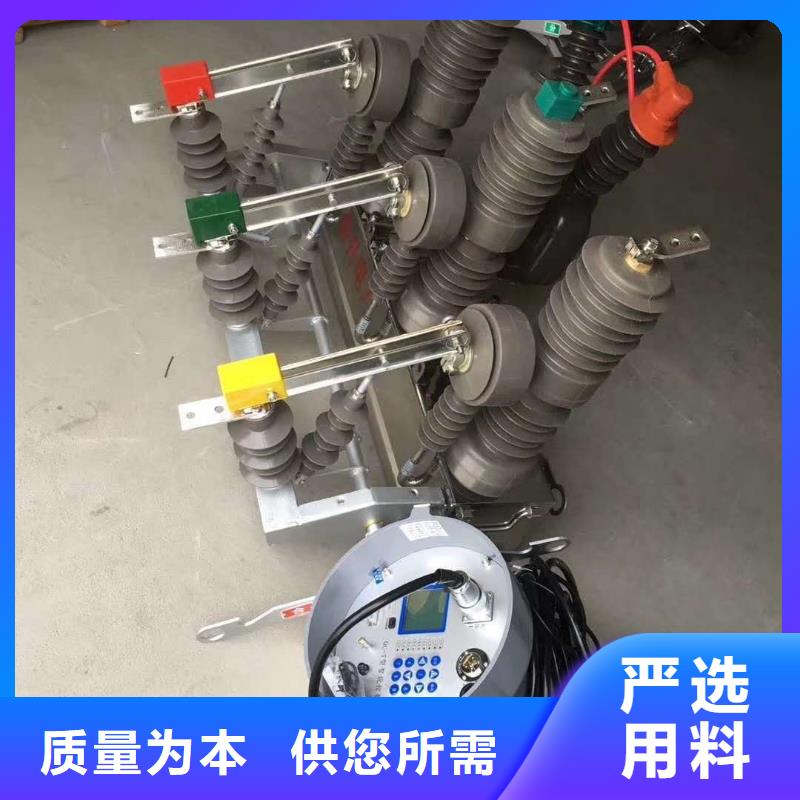 真空斷路器FKN12-12/630A經(jīng)驗(yàn)豐富品質(zhì)可靠