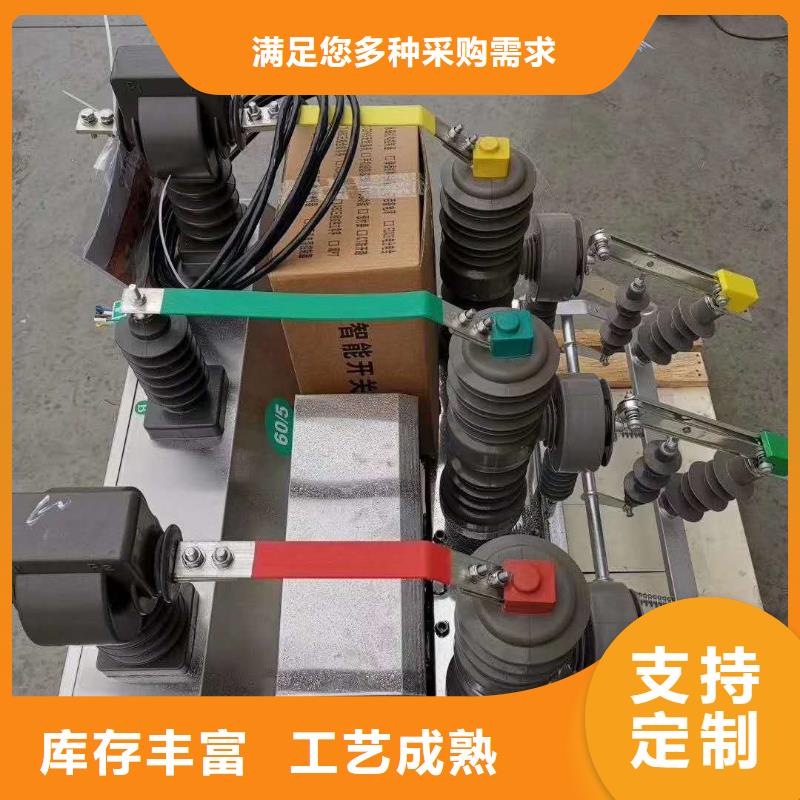 真空斷路器FKN12-12/630A經(jīng)驗(yàn)豐富品質(zhì)可靠
