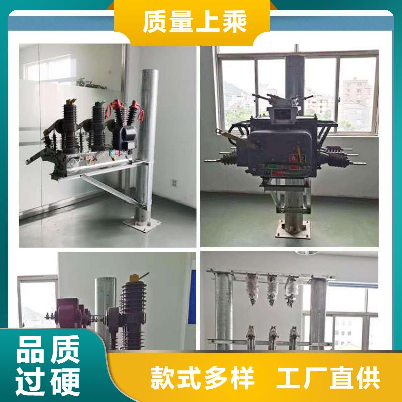 真空斷路器FKN12-12/630A經(jīng)驗(yàn)豐富品質(zhì)可靠