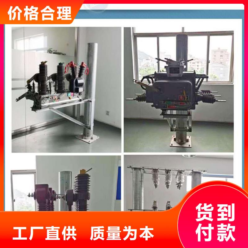 真空斷路器FKN12-12/630A經(jīng)驗(yàn)豐富品質(zhì)可靠