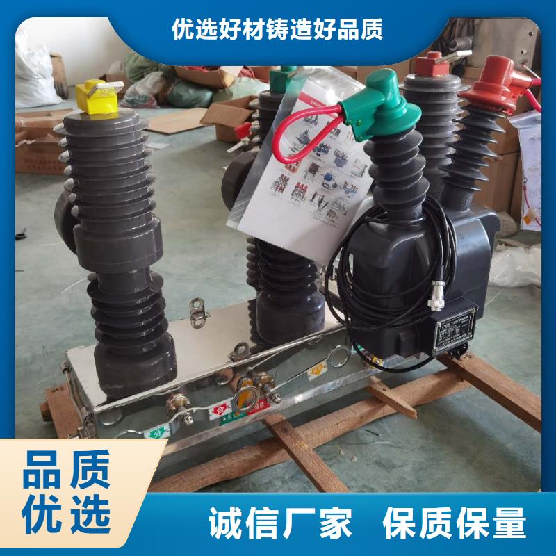 真空斷路器FKN12-12/630A經(jīng)驗(yàn)豐富品質(zhì)可靠