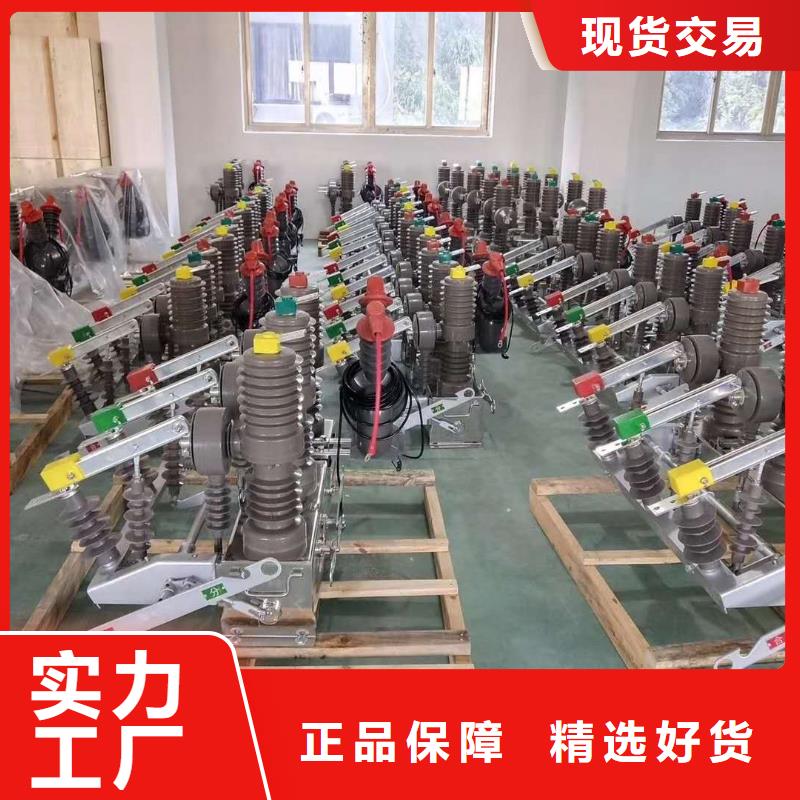 真空斷路器FKN12-12/630A經(jīng)驗(yàn)豐富品質(zhì)可靠