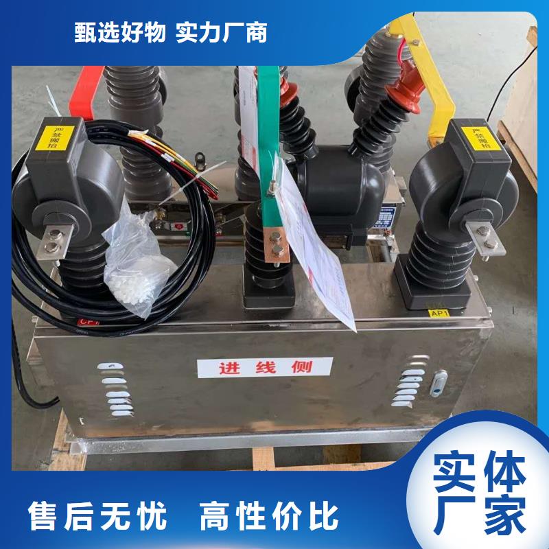 真空斷路器FKN12-12/630A經(jīng)驗(yàn)豐富品質(zhì)可靠