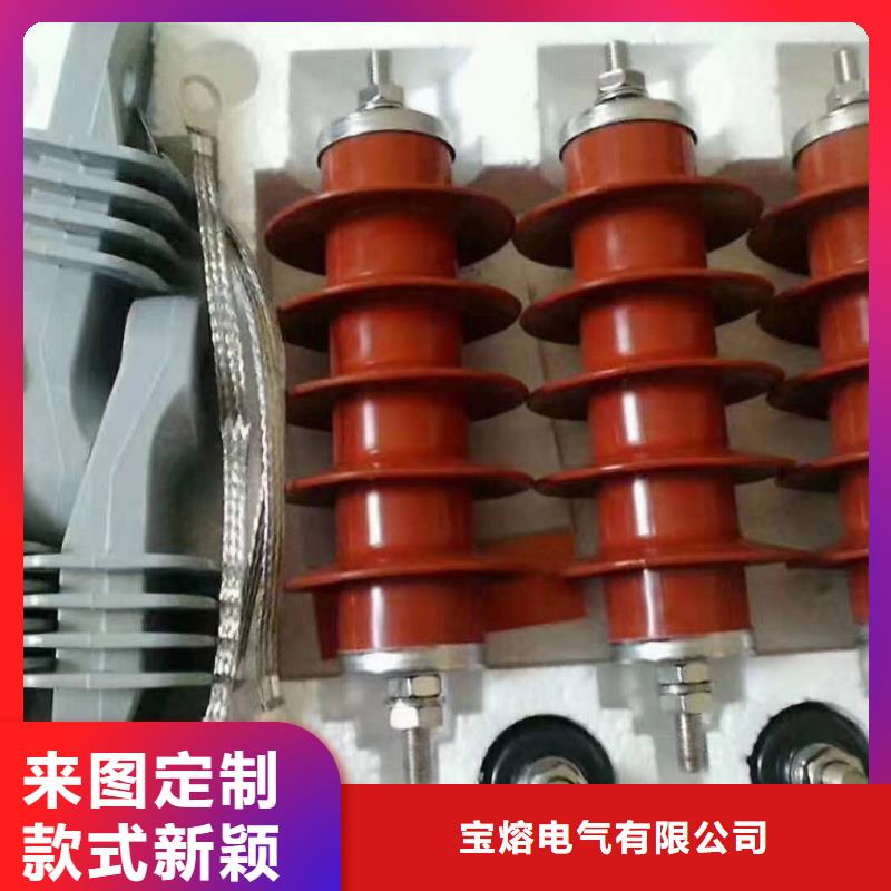 氧化锌避雷器BR-4应急照明配电箱有实力有经验