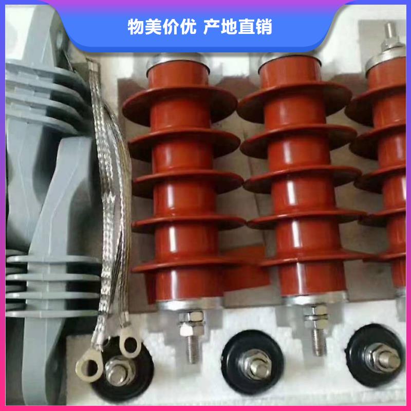 氧化鋅避雷器隔離開關(guān)實力大廠家