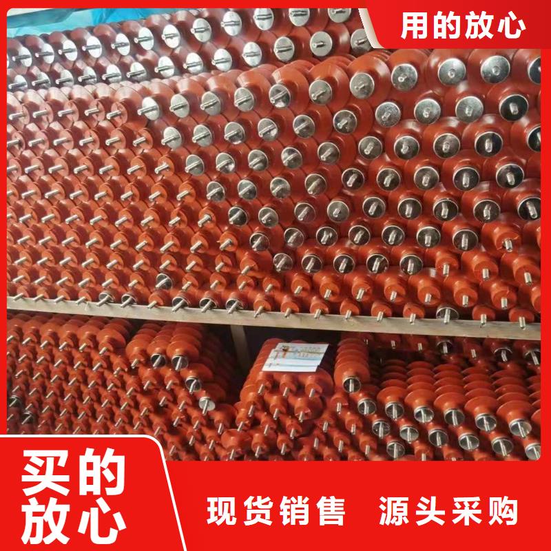 電站型氧化鋅避雷器避雷器HY10WZ-108/281