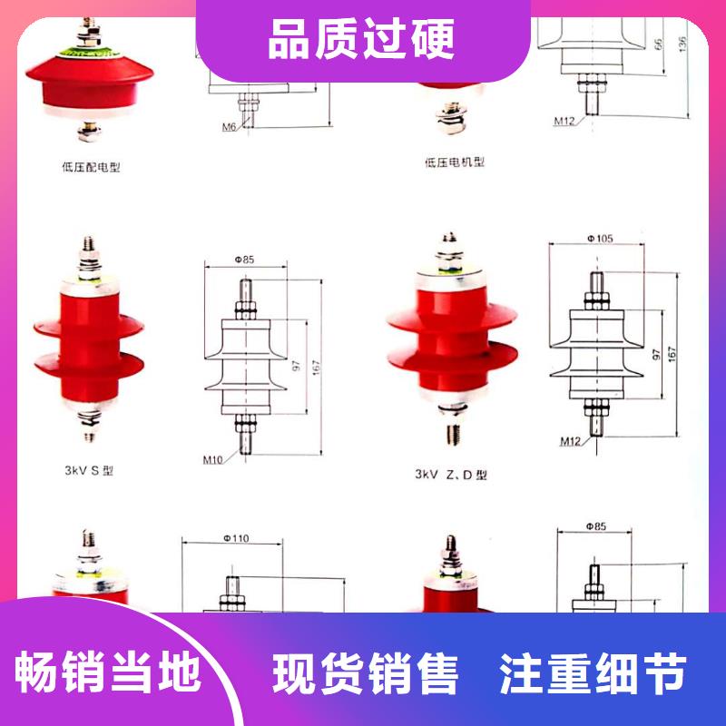 氧化锌避雷器BR-4应急照明配电箱有实力有经验