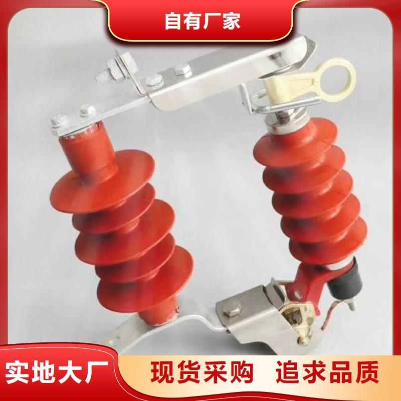 氧化鋅避雷器戶外高壓真空智能斷路器多種工藝