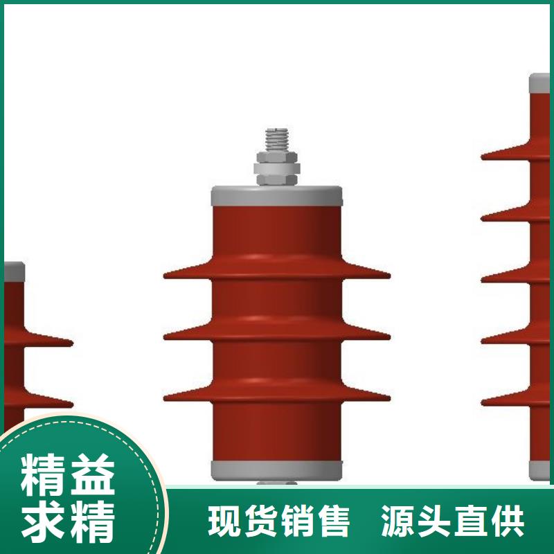 氧化锌避雷器BR-4应急照明配电箱有实力有经验