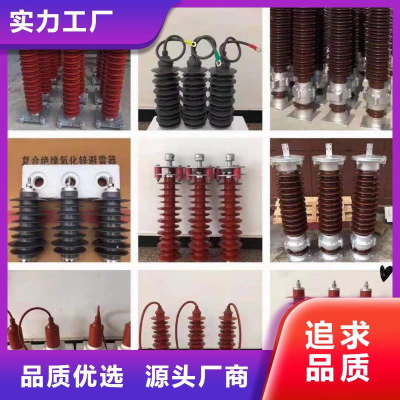 氧化锌避雷器BR-4应急照明配电箱有实力有经验