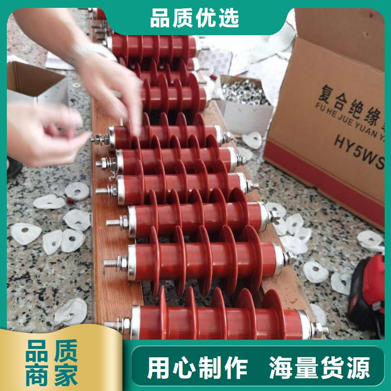 氧化锌避雷器BR-4应急照明配电箱有实力有经验