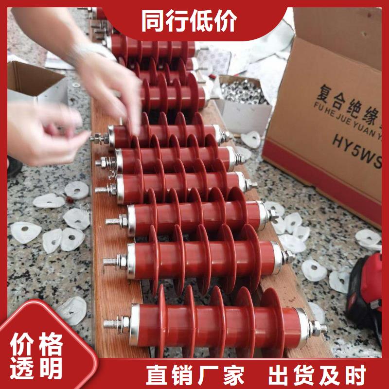 氧化锌避雷器BR-4应急照明配电箱有实力有经验