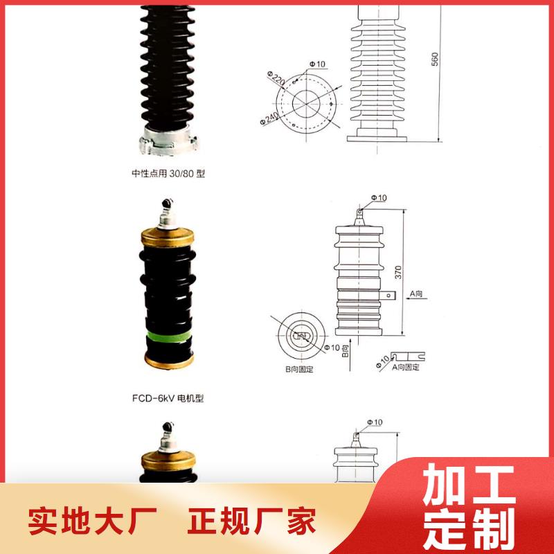 氧化鋅避雷器-工地箱質(zhì)量優(yōu)價格低