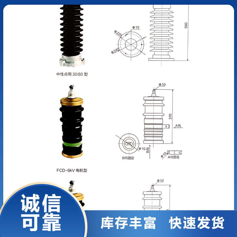 氧化鋅避雷器隔離開關(guān)實力大廠家