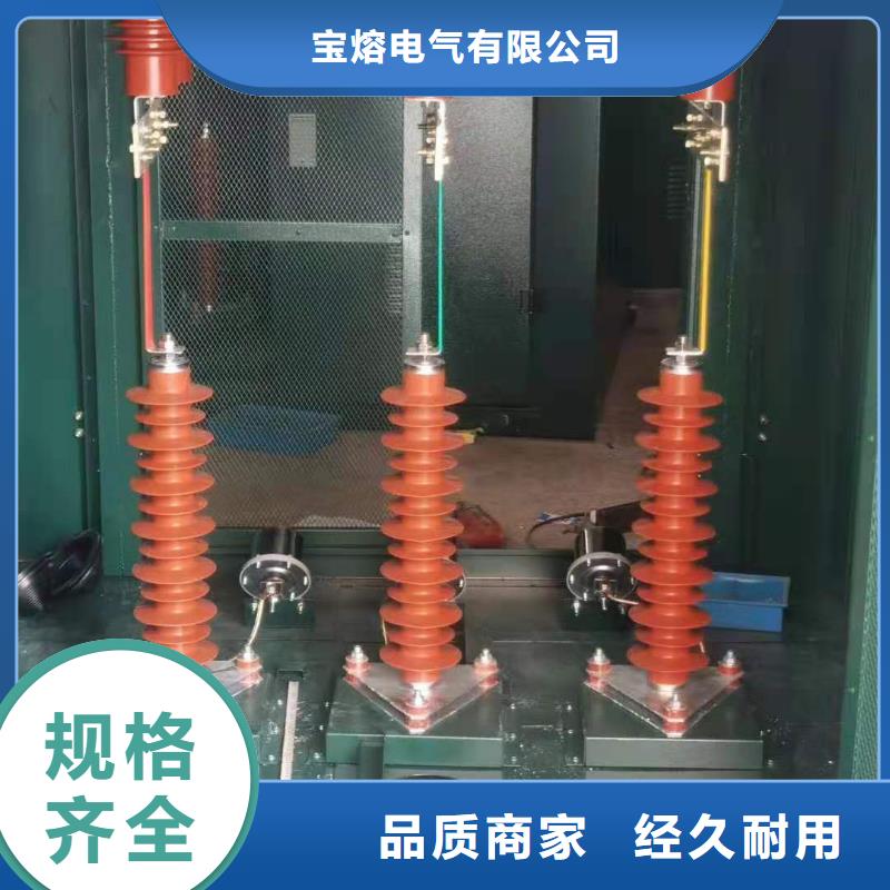 氧化鋅避雷器隔離開關(guān)實力大廠家
