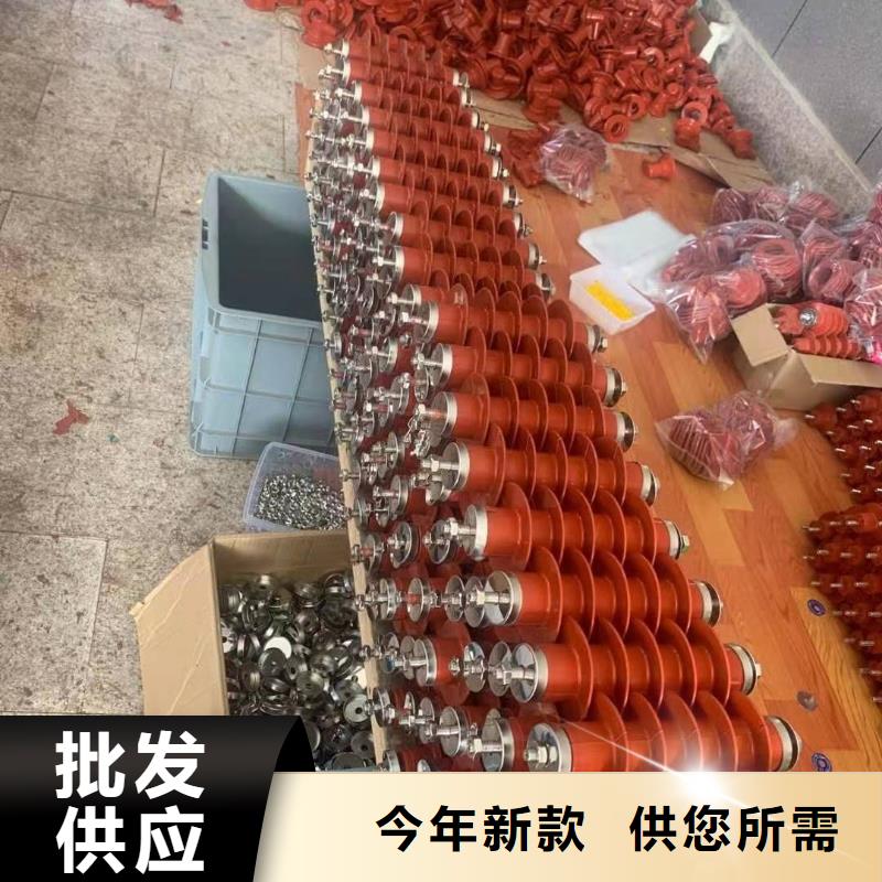 氧化鋅避雷器隔離開關(guān)實力大廠家