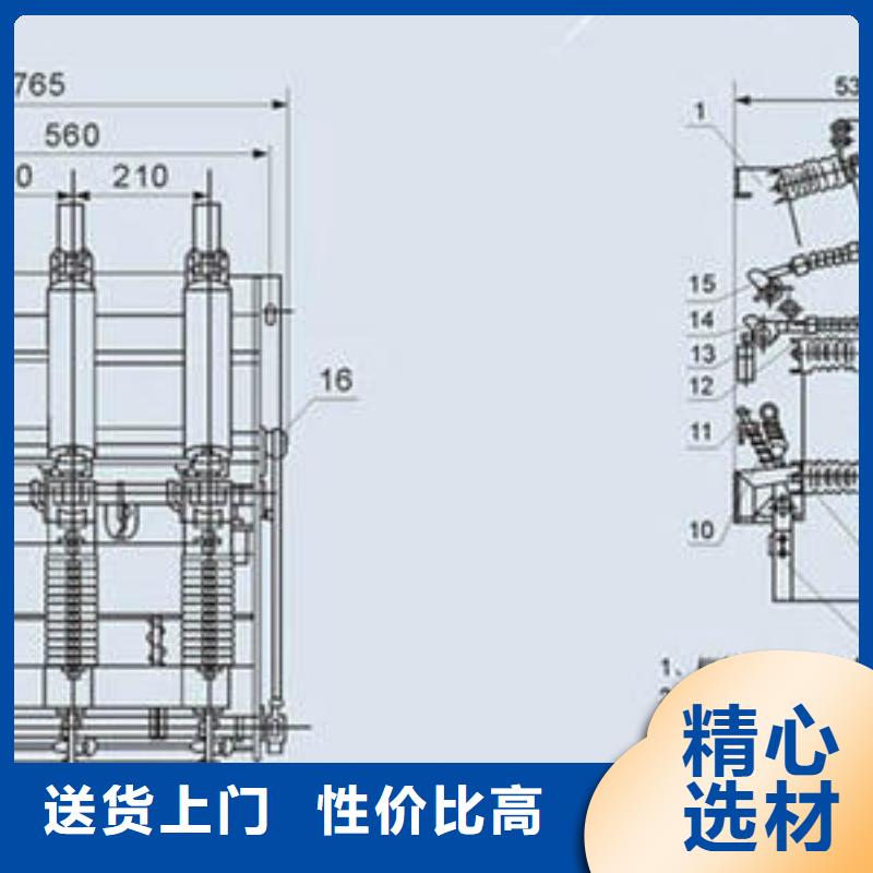 高壓負(fù)荷開(kāi)關(guān)_XRNT-12KV熔斷器服務(wù)至上