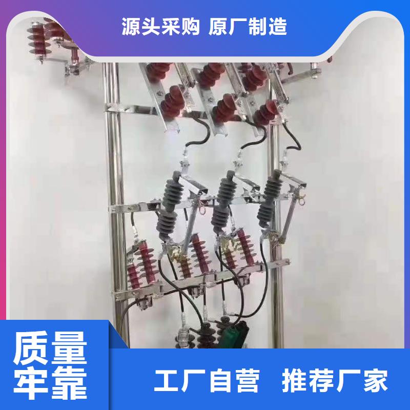跌落式熔斷器戶外跌落式避雷器質(zhì)量無(wú)憂