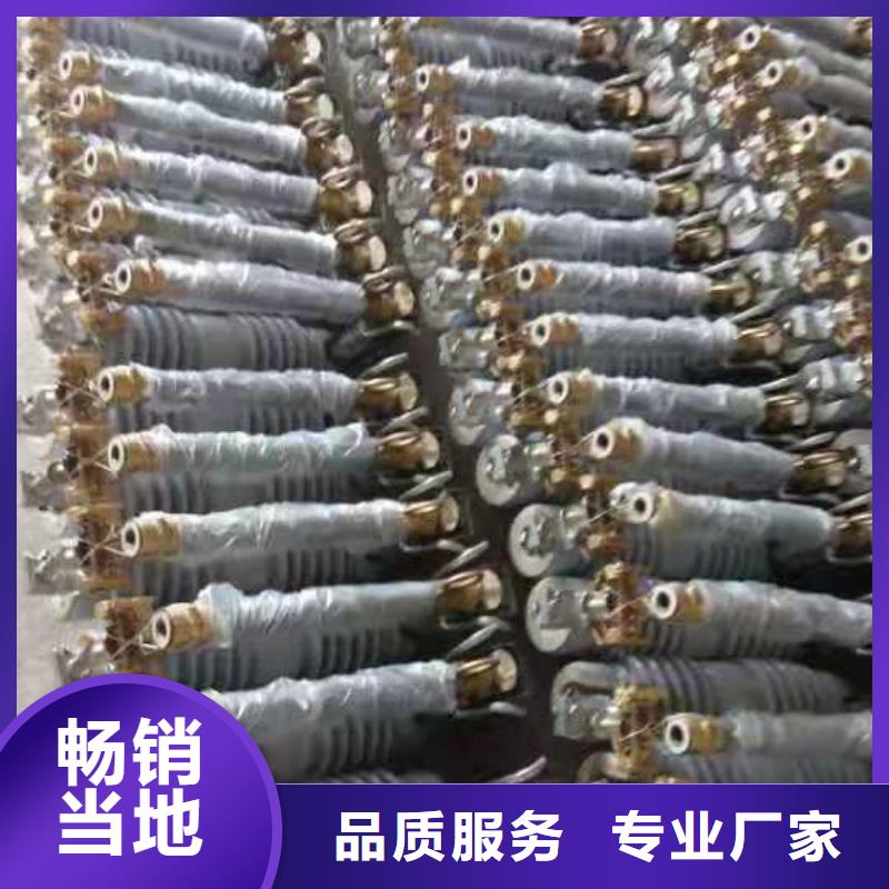 跌落式熔斷器戶外跌落式避雷器質(zhì)量無憂