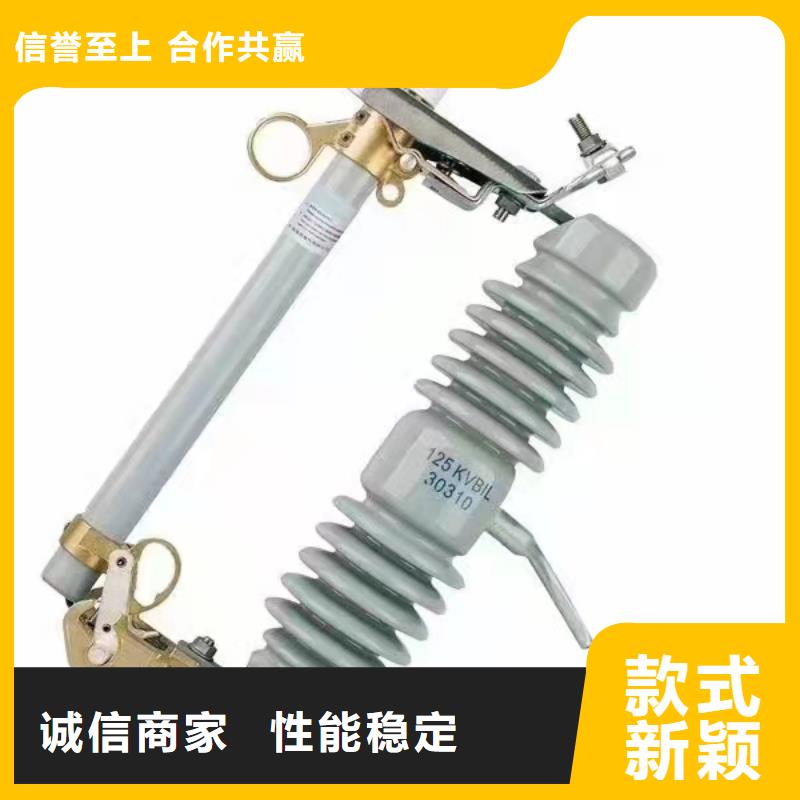 跌落保險(xiǎn)HRW12-27/200A高壓跌落式熔斷器開(kāi)關(guān)