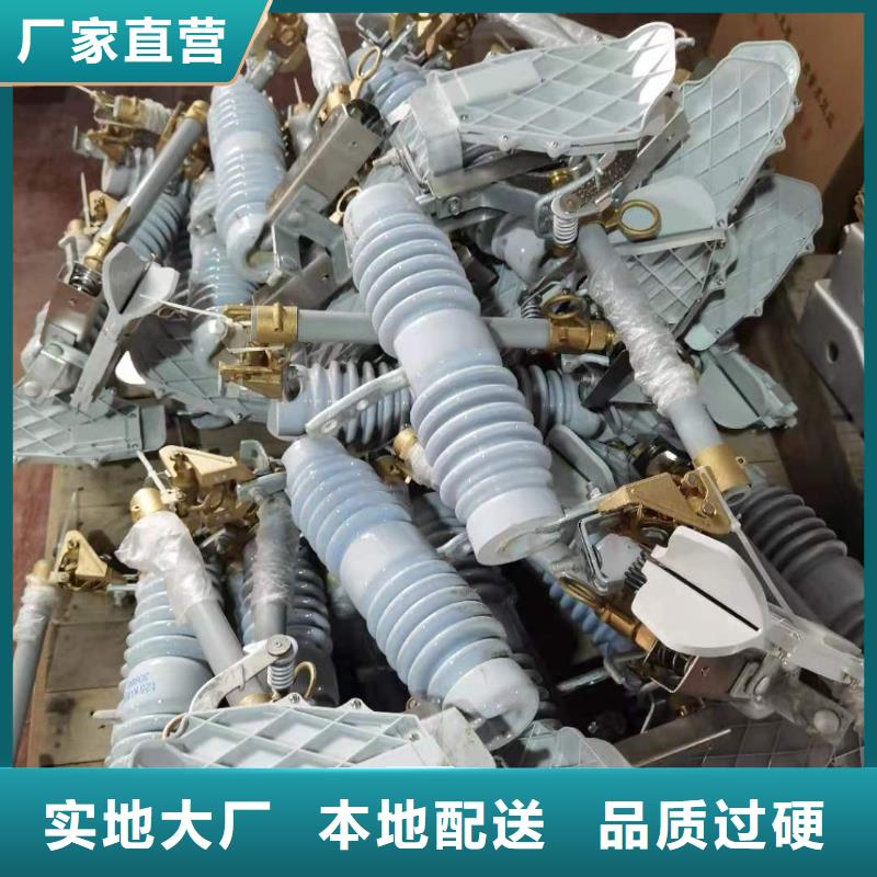 跌落式熔斷器_BR-4應(yīng)急照明配電箱品質(zhì)保證