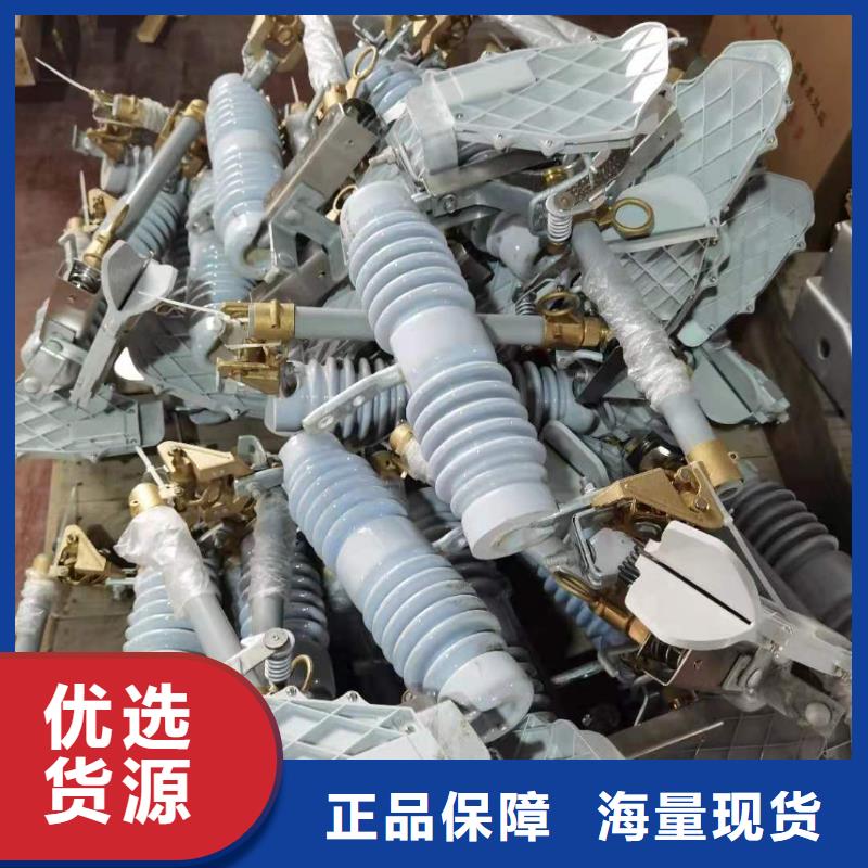 跌落式熔断器-ZW32-12F/630A优质原料