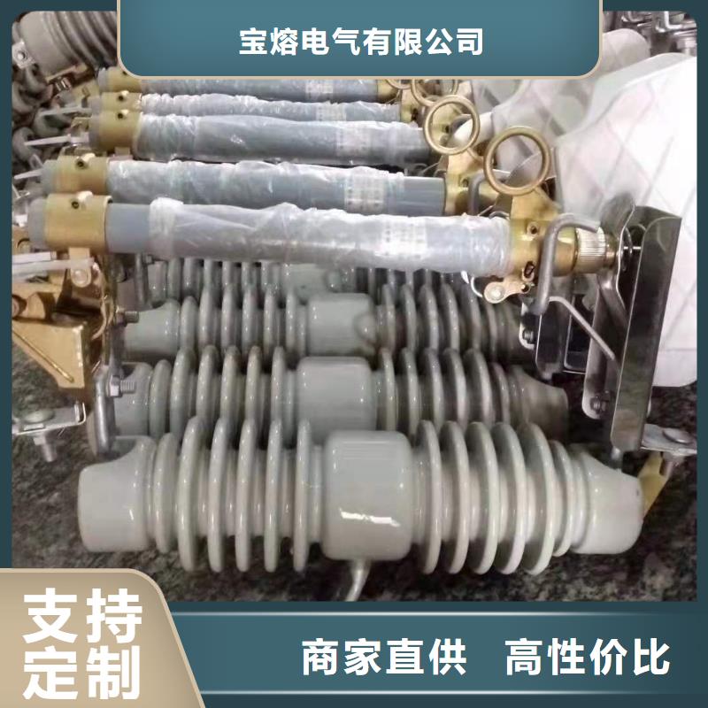 跌落式熔斷器戶外跌落式避雷器質(zhì)量無憂