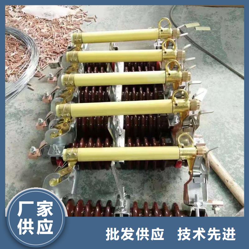 跌落式熔断器,高压保险丝保险管供应商
