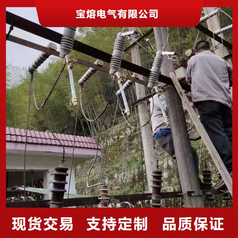 跌落式熔斷器戶外跌落式避雷器質(zhì)量無憂