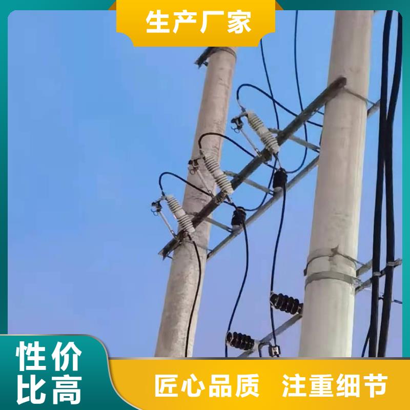 跌落式熔斷器戶外跌落式避雷器質(zhì)量無憂